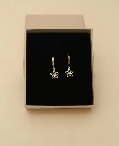 Star Earring